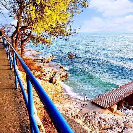 Apartman Pelcic,With Wifi And Free Parking コストレナ 部屋 写真