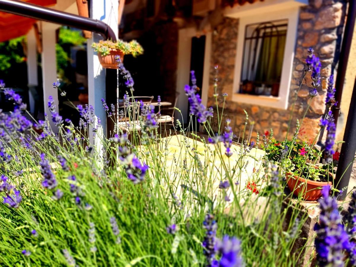 Apartman Pelcic,With Wifi And Free Parking コストレナ エクステリア 写真